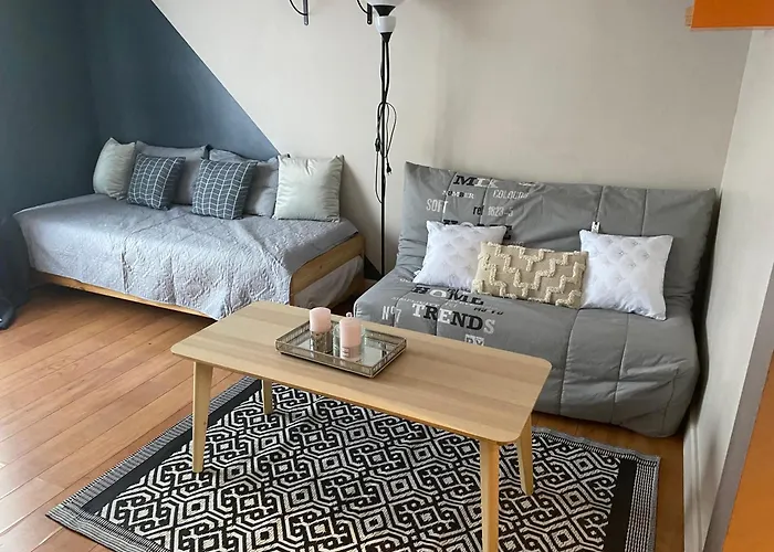 Grand Logement 5 Min De Paris